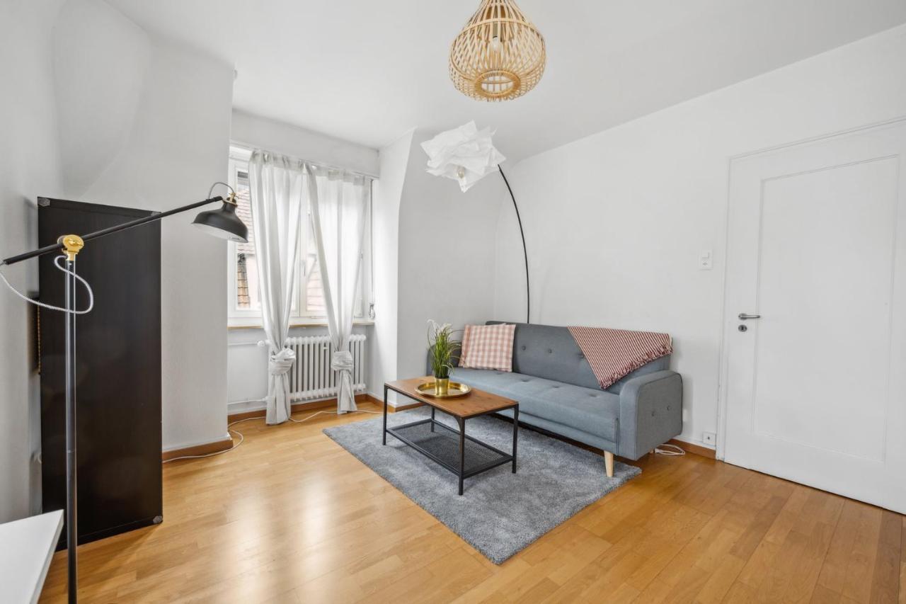 Cozy Apartment In The Heard Of Zurich Sonnegg Zewnętrze zdjęcie